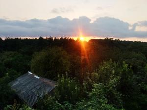 an image of the sun setting over a forest at Roin Guest House in Grigoleti
