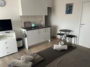 Kuchyň nebo kuchyňský kout v ubytování Apartments Villa Zdrava