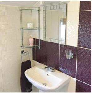 a bathroom with a sink and a mirror at Peregrine Lodge - idillic Cornwall retreat in Liskeard