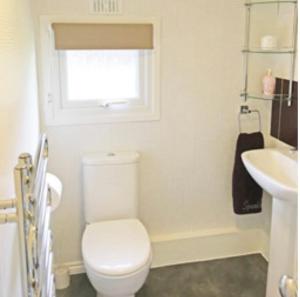 a white bathroom with a toilet and a sink at Peregrine Lodge - idillic Cornwall retreat in Liskeard