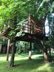 une cabane dans un arbre dans l'établissement Medže Dirbtuve, 