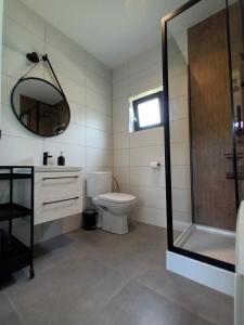 a bathroom with a toilet and a shower and a mirror at Zakątek na Ptasiej in Sasino