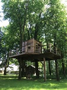 ein Baumhaus auf einem Baum in der Unterkunft Medže Dirbtuve 