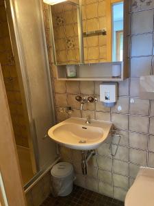 a bathroom with a sink and a toilet at Hotel Restaurant Rothorn in Visperterminen