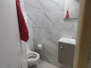 a white bathroom with a toilet and a sink at Chambre privée à Bobigny -salle de bain et toilettes sont commune, -pas de cuisine in Bobigny