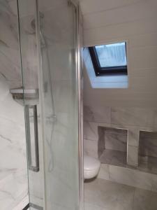 a bathroom with a shower with a toilet and a window at Chambre privée à Bobigny -salle de bain et toilettes sont commune, -pas de cuisine in Bobigny