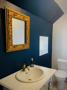 a bathroom with a sink and a mirror and a toilet at The Gate House & Winery in Santenay