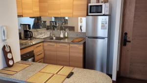 uma cozinha com um frigorífico de aço inoxidável e um micro-ondas em San Diego em Santiago