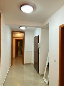 Fotografia z galérie ubytovania Apartment Tina v destinácii Rijeka