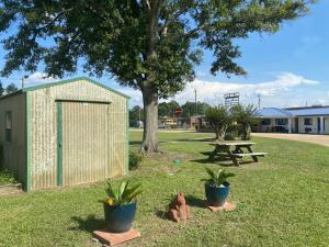 a shed and a picnic table and a tree at Budget inn in Alma