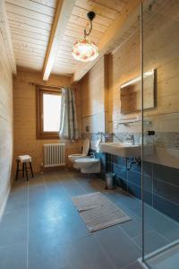 a bathroom with a shower and a sink and a toilet at Chalet Gaspard in Valtournenche