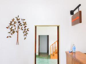 阿拉爾孔塔斯科的住宿－María Bonita by Rotamundos，走廊上挂有镜子和墙上的树