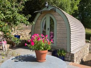 un vaso di fiori di fronte a una piccola casa per cani di Robins Nest glamping pod North Wales a Mold