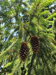 Φωτογραφία από το άλμπουμ του Room Hostel Dostyk στο Αλμάτι