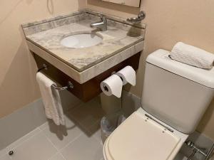 Ibirapuera hotel 5 estrelas 2 suites في ساو باولو: حمام به مرحاض أبيض ومغسلة