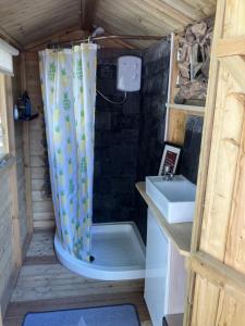 a small bathroom with a sink and a shower at Robins Nest glamping pod North Wales in Mold