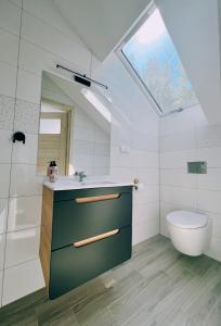 łazienka z umywalką, toaletą i oknem dachowym w obiekcie Leśny Zakątek Borkowo w mieście Borkowo