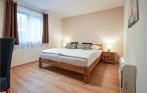 sypialnia z łóżkiem i oknem w obiekcie Ferienhaus Im Suedburgenland w mieście Eisenberg an der Pinka