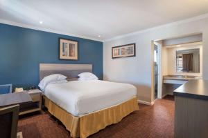 a bedroom with a large bed with a blue wall at SureStay Hotel by Best Western San Rafael in San Rafael