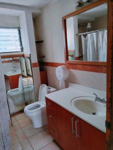 een badkamer met een wastafel, een toilet en een spiegel bij El Ático Guatemala in Guatemala