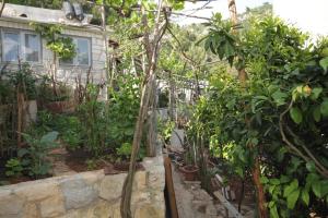 Vonkajšia záhrada v ubytovaní Seaside secluded apartments Cove Smokvina, Hvar - 4036