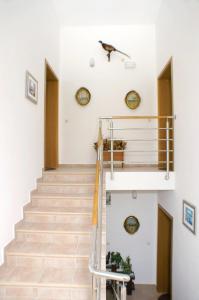 Fotografia z galérie ubytovania Apartments with a parking space Metajna, Pag - 4115 v destinácii Zubovići