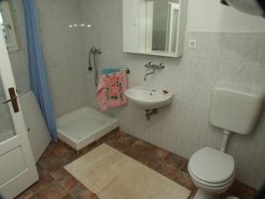 a bathroom with a toilet and a sink and a shower at Seaside secluded apartments Cove Srhov Dolac, Hvar - 2072 in Gdinj
