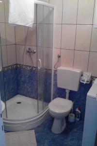 uma casa de banho com duche, WC e chuveiro em Apartments by the sea Sepurine, Prvic - 4238 em Prvic Sepurine
