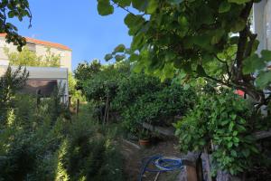 Ein Garten an der Unterkunft Apartments by the sea Okrug Gornji, Ciovo - 1069
