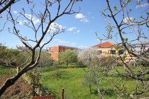 Vonkajšia záhrada v ubytovaní Apartments by the sea Podstrana, Split - 2087