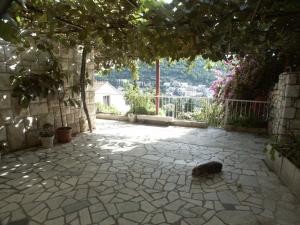 Fotografie z fotogalerie ubytování Apartments with a parking space Dubrovnik - 2144 v Dubrovníku + 28 fotografií