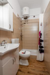 a bathroom with a toilet and a sink and a shower at Family friendly apartments with a swimming pool Valbandon, Fazana - 2201 in Štinjan