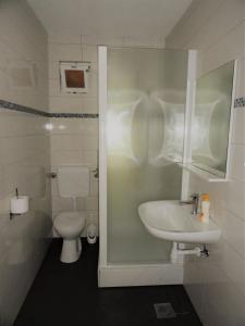 a bathroom with a toilet and a sink and a shower at Family friendly seaside apartments Cove Torac, Hvar - 2071 in Gdinj