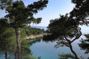 Fotografia z galérie ubytovania Apartments by the sea Mudri Dolac, Hvar - 4026 v destinácii Vrboska