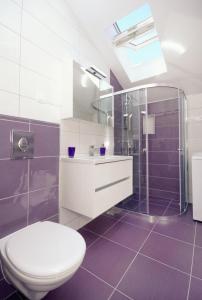 a bathroom with a toilet and a shower and a sink at Apartments by the sea Mudri Dolac, Hvar - 4026 in Vrboska