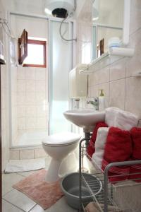 een badkamer met een toilet, een wastafel en een douche bij Apartments with a swimming pool Stari Grad, Hvar - 4015 in Stari Grad