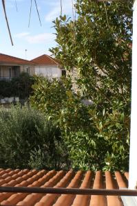 Zahrada ubytování Rooms by the sea Jelsa, Hvar - 4041