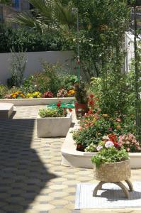 Zahrada ubytování Apartments by the sea Supetar, Brac - 4274