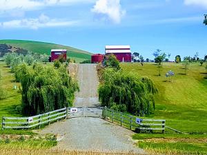 a dirt road in the middle of a field at Delightful 1-bed barn with stunning mountain views... in Cave