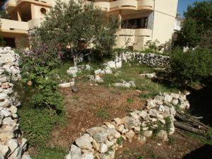 Zahrada ubytování Apartments by the sea Mandre, Pag - 4095