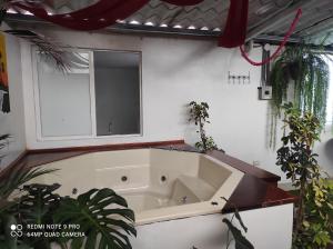 e bagno con vasca, specchio e piante. di Casa vacacional Isai Hospedaje SPA a Baños