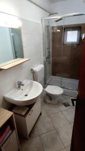 ein Badezimmer mit Waschbecken, Toilette und Dusche in der Unterkunft Apartment Metajna 4150b in Metajna