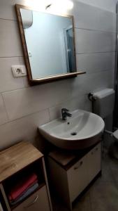 ein Badezimmer mit Waschbecken und Spiegel an der Wand in der Unterkunft Apartment Metajna 4150b in Metajna