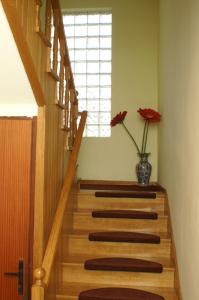 Fotografie z fotogalerie ubytování Double Room Mulobedanj 4061a v destinaci Lun