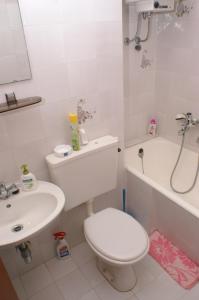 a bathroom with a toilet and a sink and a bath tub at Rooms by the sea Cove Mulobedanj, Pag - 4061 in Lun