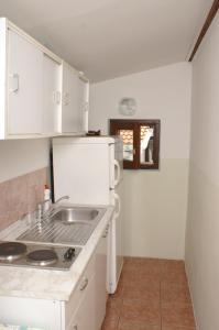 Kuchyňa alebo kuchynka v ubytovaní Apartment Zubovici 4065b