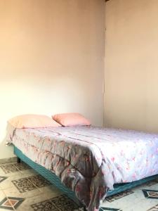 a bedroom with a bed with pink pillows on it at Departamento Pájaro Carpintero in Ushuaia