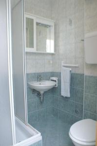 y baño con lavabo, aseo y ducha. en Apartment Zubovici 4130e, en Zubovići