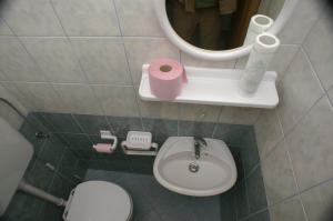 y baño con aseo, lavabo y espejo. en Apartment Zubovici 4130e, en Zubovići