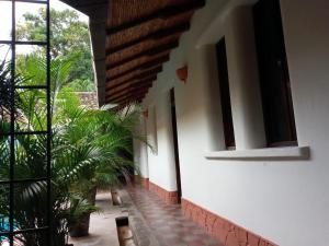 a hallway of a house with plants and windows at Casa Silas Granada Nicaragua in Granada